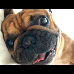 Meet your Posher, James